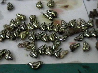 Image by Myrea Pettit, Copyright&copy; 2004 Fairies World&reg;  Reproduction of these images in any form is strictly prohibited.