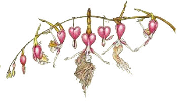 Ladies Locket Copyright&copy; 2001 Fairies World