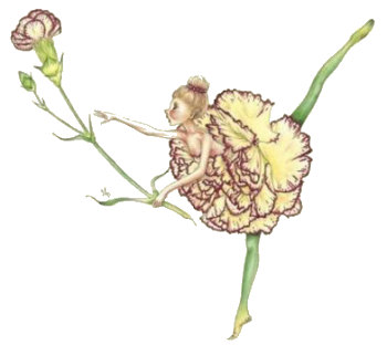 Petal Carnation, Copyright&copy; 2001 Fairies World