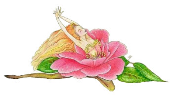 Petal Camellia, Copyright&copy; 2001 Fairies World