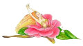 Petal Camellia, Copyright© 2001 Fairies World
