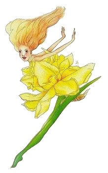 Petal Daffodil, Copyright&copy; 2001 Fairies World