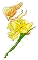Petal Daffodil, Copyright© 2001 Fairies World