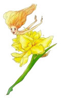 Petal Daffodil, Copyright© 2001 Fairies World