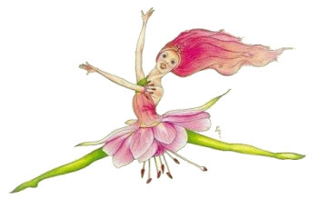 Petal Fuschia, Copyright&copy; 2001 Fairies World