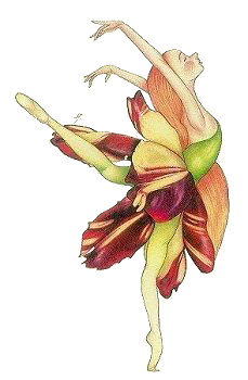 Petal Tulip, Copyright&copy; 2001 Fairies World
