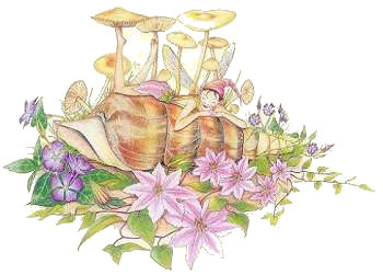 The Empress Fairy, Copyright&copy; 2004 Fairies World