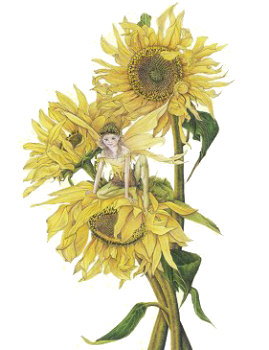 Sunflower Fairy, Copyright©  2004 Fairies World