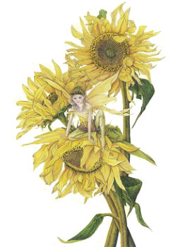 Sunflower Fairy, Copyright&copy;  2004 Fairies World