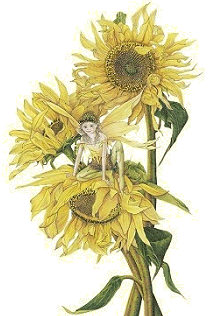 The Sunflower Fairy Copyright© 2004 Fairies World