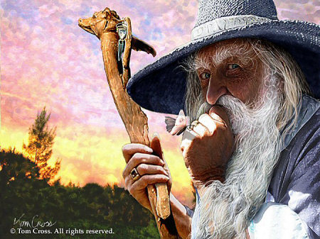 Tom Cross Image, Copyright&copy; 2005 Tom Cross,  Reproduction of these images in any form is strictly prohibited.