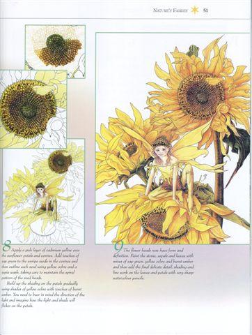 How to draw a sunflower fairy from the book Watercolor Fairies Copyright© 2004 Fairies World®  Reproduction of these images in any form is strictly prohibited.