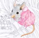 tooth fairy mouse