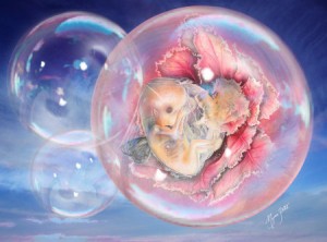 Birth of a Fairy 2009 Â©Myrea Pettit
