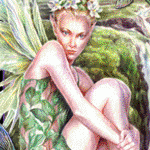 3 Wishes Faery Festival 3 Wishes Faery Festival
